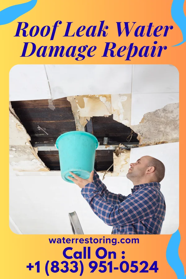 Roof Leak Water Damage Repair in Big Cabin, OK